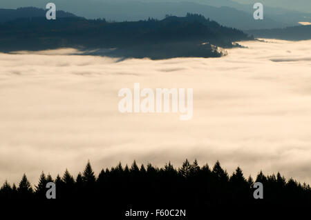 Willamette Valley fog from Mt Pisgah summit, Howard Buford County Park, Lane County, Oregon Stock Photo