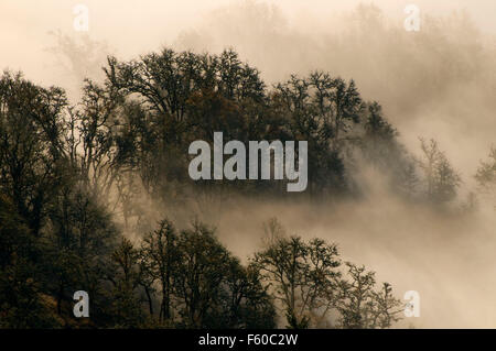 Willamette Valley fog from Mt Pisgah summit, Howard Buford County Park, Oregon Stock Photo