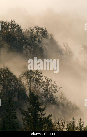 Willamette Valley fog from Mt Pisgah summit, Howard Buford County Park, Lane County, Oregon Stock Photo