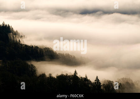 Willamette Valley fog from Mt Pisgah summit, Howard Buford County Park, Lane County, Oregon Stock Photo