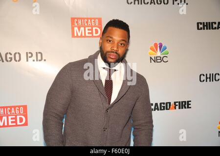 Nov. 10, 2015 - Chicago, IL, USA -  (Credit Image: © Mary Carol Fitzgerald Photograph/Globe Photos via ZUMA Wire) Stock Photo