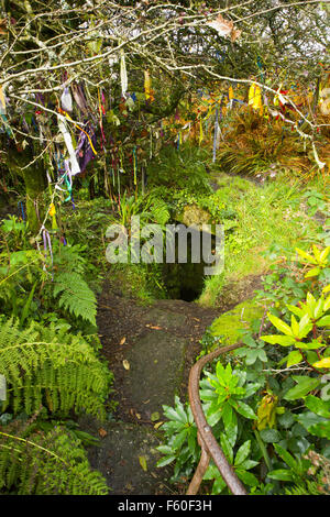 Sancreed Well  Chapel Downs Well, the Crone Well Holy Well or Sacred Spring Stock Photo