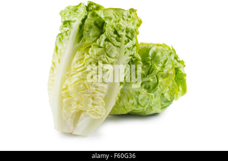 Little Gem Lettuce Stock Photo