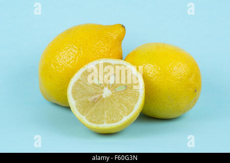 A bunch of lemons on a pale blue background. Stock Photo