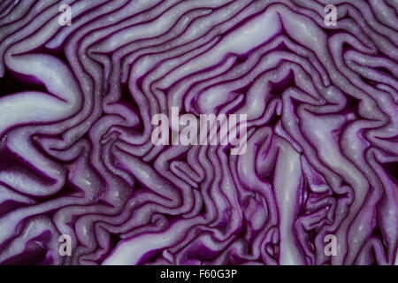 A close up / macro of a sliced red cabbage Stock Photo
