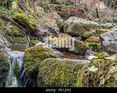 Mountain brook with mossy boulders in the Tatra mountans, Poland Stock Photo