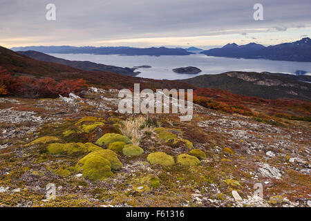 Canal Beagle Onashaga, Tierra del Fuego National Park, Argentina Stock Photo