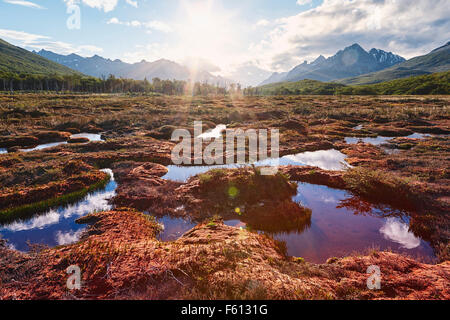 Backlit bog, Tierra del Fuego National Park, Argentina Stock Photo