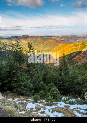 Beautiful view of valleys and hills covered with spruce and larch trees as seen from the trail in the Tatra mountains, Poland Stock Photo