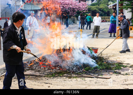 Japan, Nishinomiya, Mondo Yakuji temple. A Japanese priest, wearing a black yukata, using a rake to pull ritual bonfire apart after a ceremony. Stock Photo