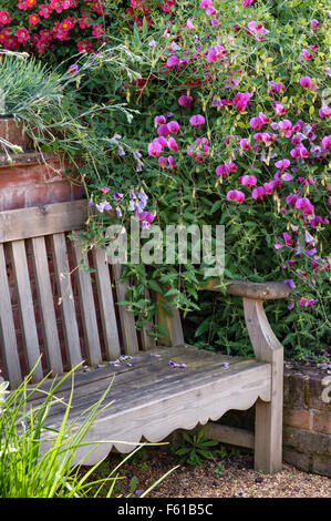 East Ruston Old Vicarage gardens, Norwich, Norfolk, UK. The Sunk Garden Stock Photo