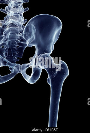 medically accurate illustration of the hip joint Stock Photo