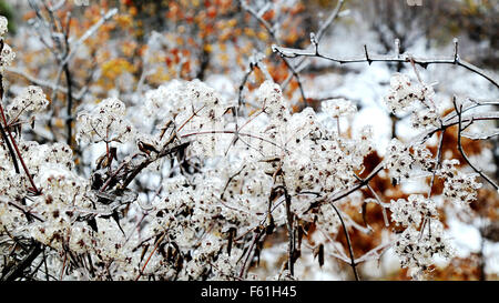 Beijing, Beijing, CHN, China. 10th Nov, 2015. Beijing, CHINA - November 6 2015: (EDITORIAL USE ONLY. CHINA OUT) First snow covered Yan Mountain. © SIPA Asia/ZUMA Wire/Alamy Live News Stock Photo