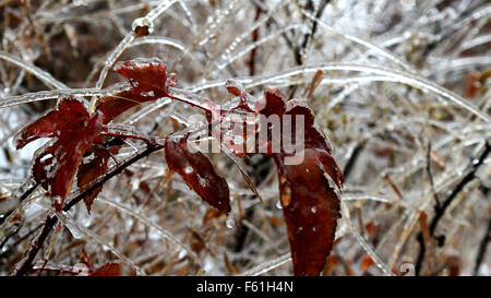 Beijing, Beijing, CHN, China. 10th Nov, 2015. Beijing, CHINA - November 6 2015: (EDITORIAL USE ONLY. CHINA OUT) First snow covered Yan Mountain. © SIPA Asia/ZUMA Wire/Alamy Live News Stock Photo