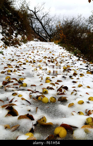 Beijing, Beijing, CHN, China. 10th Nov, 2015. Beijing, CHINA - November 6 2015: (EDITORIAL USE ONLY. CHINA OUT) First snow covered Yan Mountain. © SIPA Asia/ZUMA Wire/Alamy Live News Stock Photo