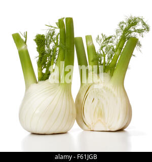 Fresh fennel bulb isolated on white background close up Stock Photo