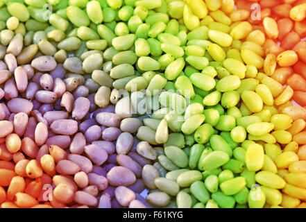 Pine nuts from pine trees photographed close up Stock Photo