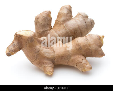 Fresh ginger root or rhizome isolated on white background cutout Stock Photo