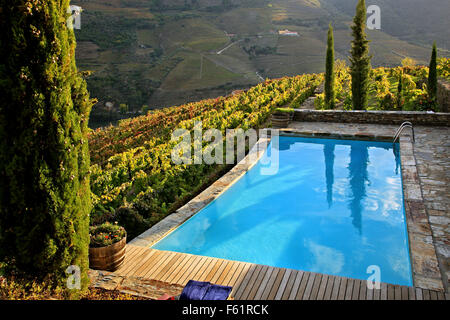 Swimming pool surrounded by vineyards in Quinta Nova luxury winery house, a beautiful guesthouse in Douro valley, Porto e Norte, Portugal. Stock Photo