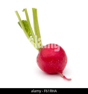 Small garden radish isolated on white background cutout Stock Photo