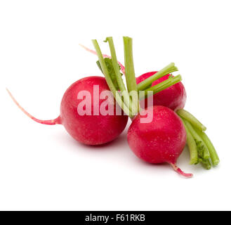 Small garden radish isolated on white background cutout Stock Photo