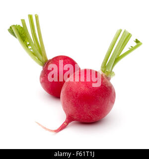 Small garden radish isolated on white background cutout Stock Photo