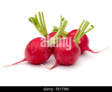 Small garden radish isolated on white background cutout Stock Photo