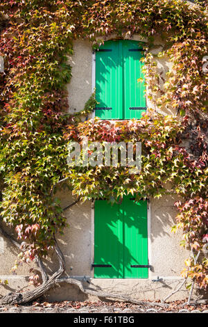 A shuttered french window with climbing plants in the Burgundy area of France Stock Photo