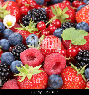 Berry fruits in summer with strawberries, blueberries, red currants and raspberries Stock Photo