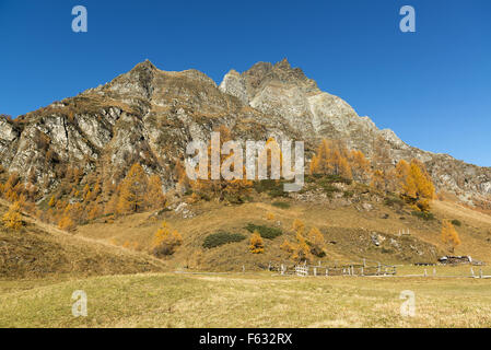 Autumn colors at the Devero Alp in a beautiful afternoon near the village of Crampiolo, Piedmont - Italy Stock Photo