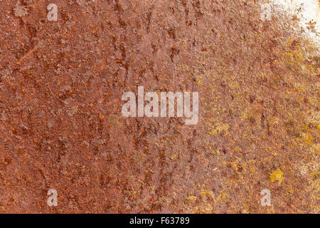 Rusted sheet of metal background or texture Stock Photo