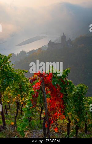 Autumn dawn in Rhine valley, Germany Stock Photo