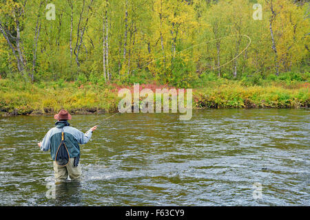 Fly fishing for brown trout and grayling at Nuortti River, Urho Kekkonen National Park, Lapland. Stock Photo