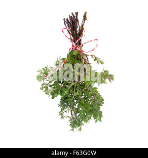 Thyme bouquet isolated on white background Stock Photo