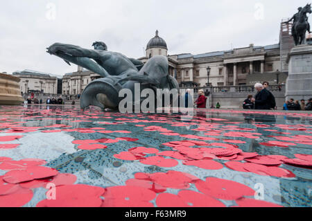 London, UK.  11 November 2015.  Poppies thrown into the fountains in Trafalgar Square as part of Silence in the Square, an annual event put on by the Royal British Legion, on Armistice Day Credit:  Stephen Chung / Alamy Live News Stock Photo