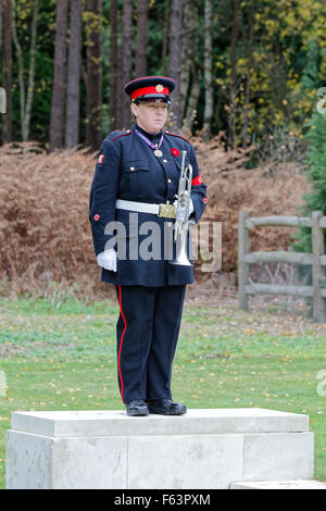 Canadian Section Brookwood Military Cemetery Armistice Day Ceremony: Bugler Stock Photo