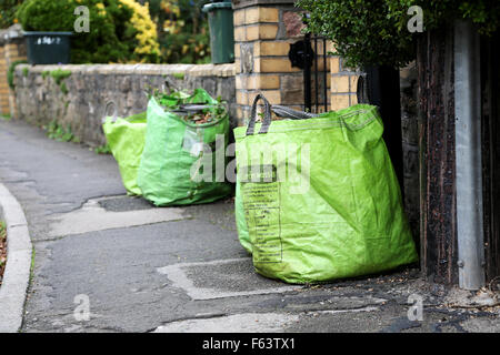 Green waste recycling bags, on a British street, full with autumn leaves and left outside on the pavement for collection by the local council Stock Photo