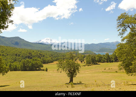 Nalcas National Park, Chile. The Bio Bio river, and in the background snowy volcano Lonquimay Stock Photo