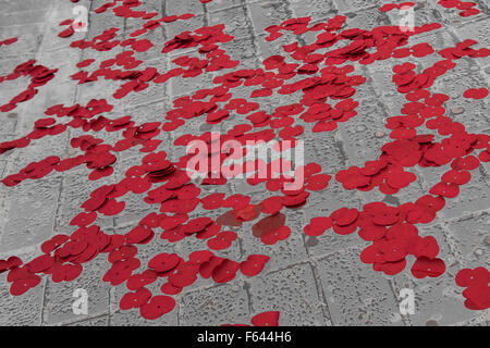 Trafalgar Square, London, UK. 11th November 2015. Poppies float in one of the iconic fountains. Credit:  Oliver Lynton/Alamy Live News Stock Photo