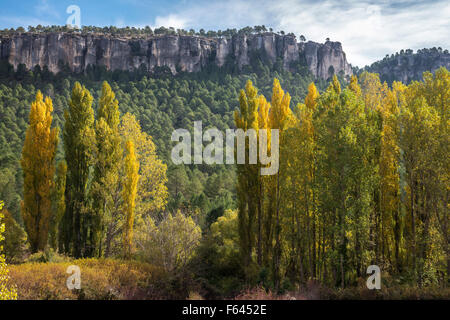 Autumn in the Hoz Del Beteta gorge. In the Serrania de Cuenca, Cuenca province, Castilla-la mancha, Central Spain Stock Photo