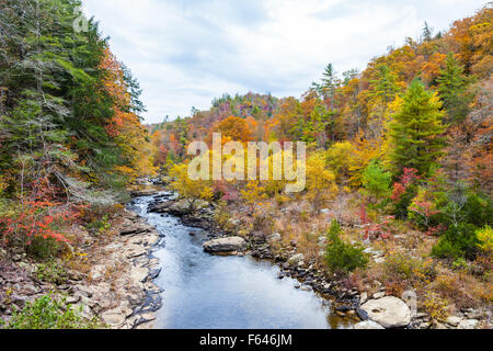View of Clear Creek from Lilly Bridge at Obed Wild and Scenic River Stock Photo