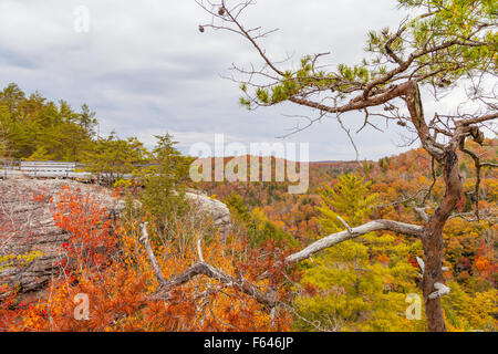 View from Lilly Bluff Overlook at Stock Photo
