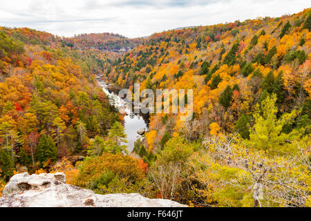 View from Lilly Bluff Overlook at Obed Wild and Scenic River Stock Photo