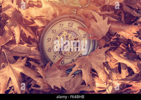 Pocket watch on leaves Stock Photo