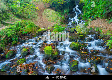 Waterfall which flows in to Burrator Reservoir on Dartmoor National Park England UK Europe Stock Photo