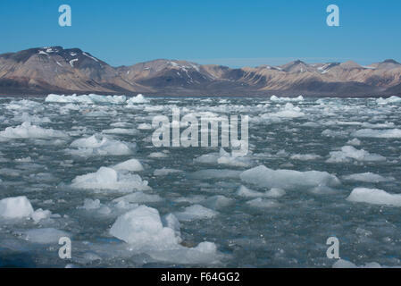 Norway, Barents Sea, Svalbard, Spitsbergen, 14th July Glacier (79° 07' 33' N - 11° 48' 05' E) Ice filled bay. Stock Photo