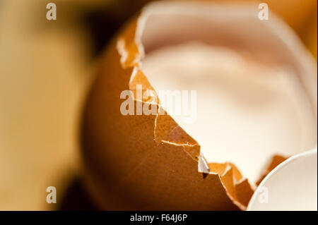 Macro close-up of edge of empty cracked brown egg shell against brown background. Stock Photo