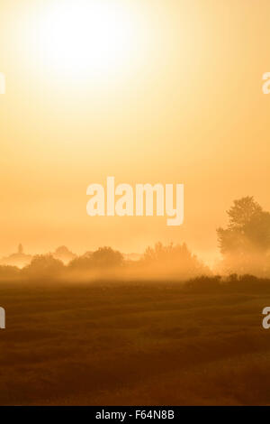 Morning field sunrise with trees in silhouette Stock Photo - Alamy