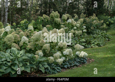 Wilcza Gora Garden in summer. Stock Photo