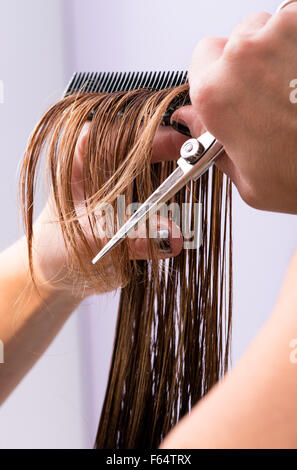 Hairdresser at work in a salon cutting the long brown hair Stock Photo